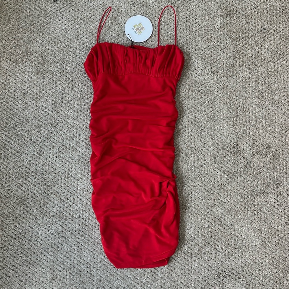 Princess Polly sheared mesh mini dress - NEVER WORN